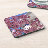 Dessous-de-verre Sakura Cherry Blossoms (Côté gauche)