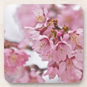 Dessous-de-verre Sakura Cherry Blossoms rose pâle