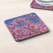 Dessous-de-verre Sakura Cherry Fleurit Dans Le Bleu (Côté gauche)