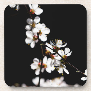 Dessous-de-verre Sakura flowers