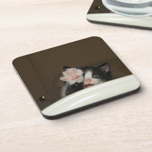 dessous de verre "Salut Kitten !" (Côté gauche)