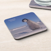 Dessous de verre "Salutations de l'Antarctique ! p (Côté gauche)