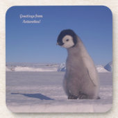 Dessous de verre "Salutations de l'Antarctique ! p (Devant)