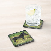 Dessous-de-verre Samburu Zebra (Côté Droit)