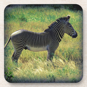 Dessous-de-verre Samburu Zebra
