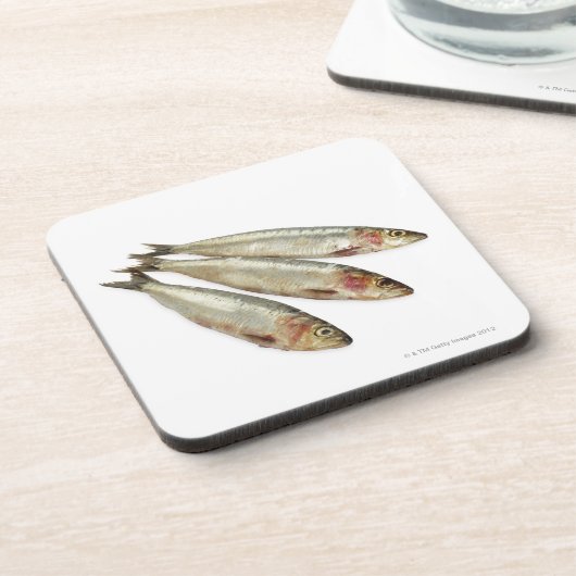 Dessous-de-verre Sardines (pilchards) (Côté gauche)