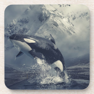 Dessous-de-verre Sauts de baleines tueuses sauvages