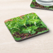 Dessous-de-verre Sceau Solomons (Côté gauche)