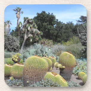 Dessous-de-verre Scène Cactus