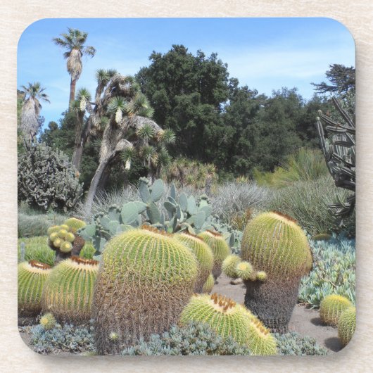 Dessous-de-verre Scène Cactus (Devant)