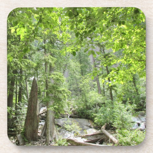 Dessous-de-verre Scène de Forêt Verte Magique. (Devant)