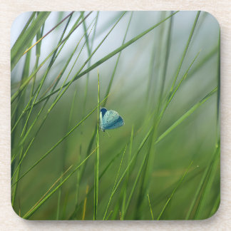 Dessous-de-verre Scène de nature tranquille Papillon bleu en plasti