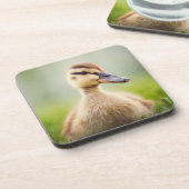 Dessous-de-verre Se pencher de Mallard de bébé (Côté gauche)