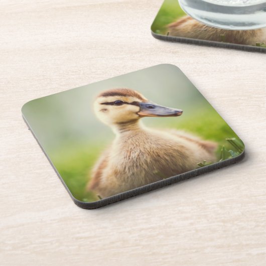 Dessous-de-verre Se pencher de Mallard de bébé (Côté gauche)