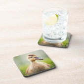 Dessous-de-verre Se pencher de Mallard de bébé (Côté Droit)