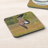 Dessous de verre Seagull (Côté gauche)