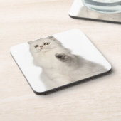Dessous-de-verre Séance de chat persan (Côté gauche)