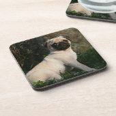 Dessous-de-verre Séance de chiot de carlin de faon (Côté gauche)