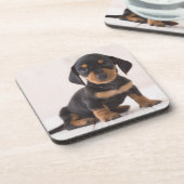 Dessous-de-verre Séance miniature de teckel (Côté gauche)