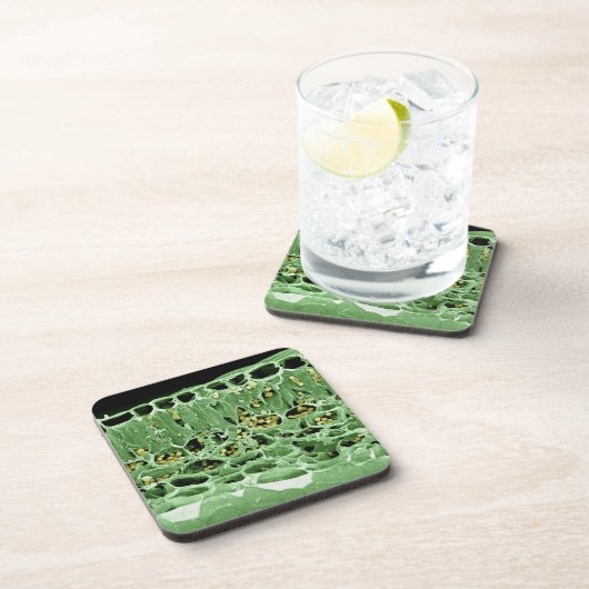 Dessous-de-verre Section transversale de feuille (Côté Droit)