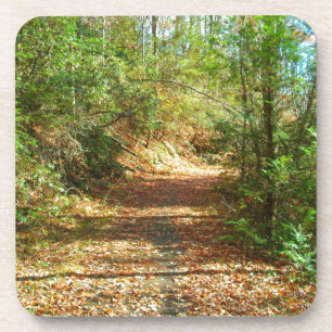 Dessous-de-verre Sentier forestier d'automne éclairé