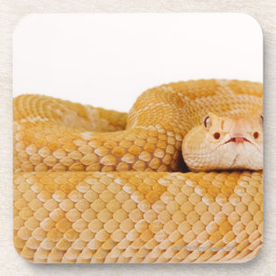 Dessous-de-verre Serpent à sonnettes de dos en forme de losange