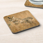 Dessous-de-verre Serval (Leptailurus Serval) en train de sauter (Côté gauche)