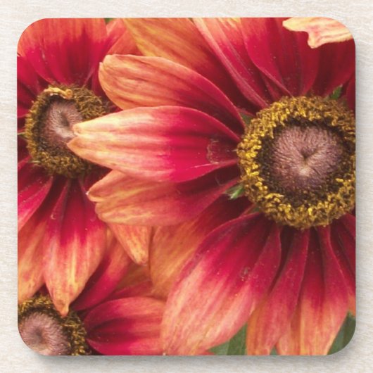 Dessous de verre Set automne Fleurs (Devant)