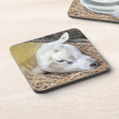 DESSOUS-DE-VERRE SHEEP (Côté gauche)