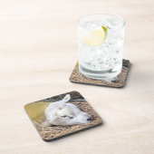 DESSOUS-DE-VERRE SHEEP (Côté Droit)