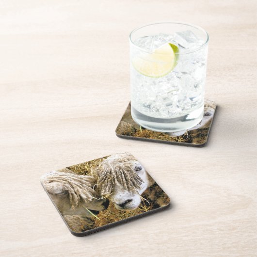 DESSOUS-DE-VERRE SHEEP (Côté Droit)