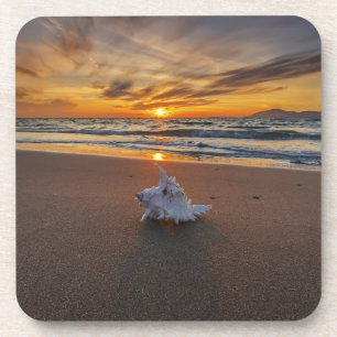 Dessous-de-verre Shell à la plage à l'île du coucher du soleil
