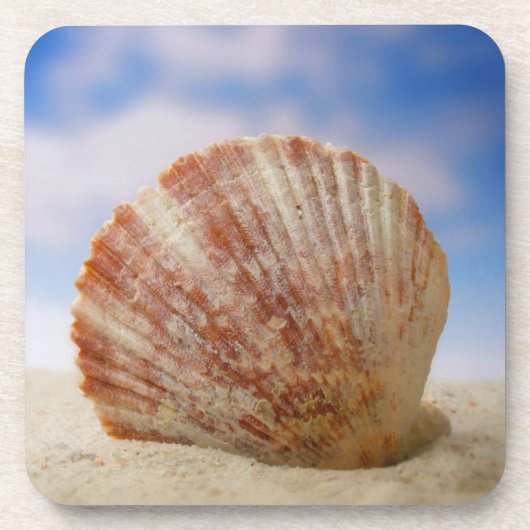 Dessous-de-verre Shell étayé dans le sable (Devant)