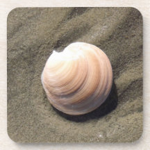 Shell maritime