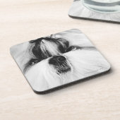 Dessous-de-verre Shih Tzu (Côté gauche)