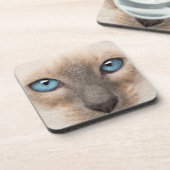 Dessous-de-verre Siamese Kitten (Côté gauche)