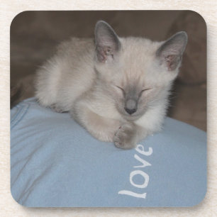 Dessous de verre siamois de chaton