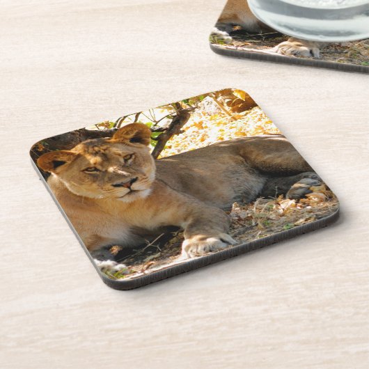 Dessous-de-verre Siesta Time (Côté gauche)