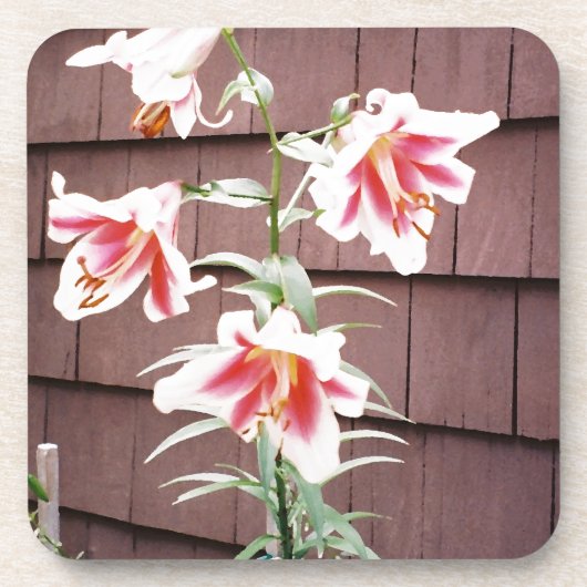 Dessous-de-verre Silk Road Lily (Devant)