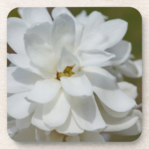 Dessous-de-verre Silky Magnolia