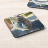 Dessous-de-verre Silverback frappant (Côté gauche)