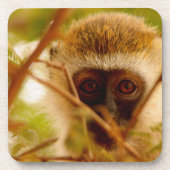 Dessous-de-verre Singe Cheeky. (Devant)