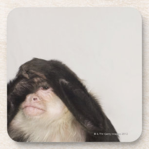 Dessous-de-verre Singe couvrant ses yeux