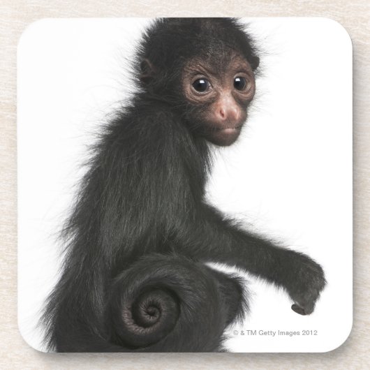 Dessous-de-verre Singe d'araignée rougeaud - paniscus d'Ateles (3 (Devant)