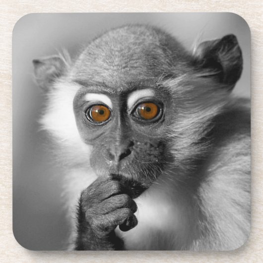 Dessous-de-verre Singe de Mangabey de bébé (Devant)