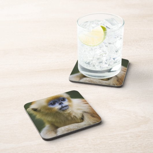 Dessous-de-verre Singe d'or (Côté Droit)