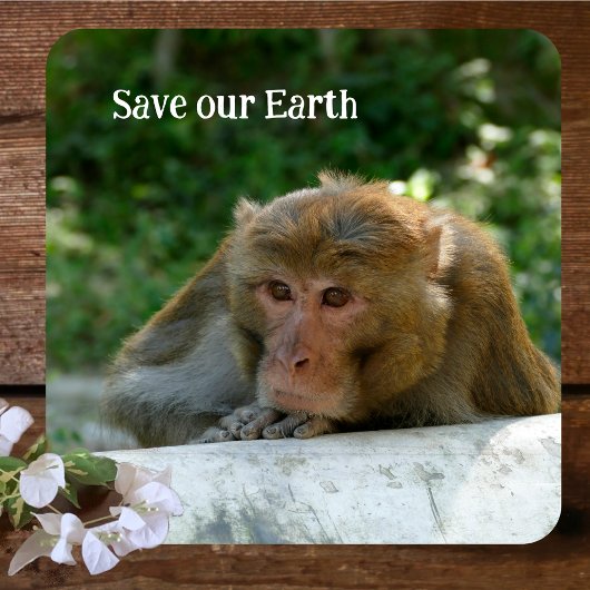 Dessous-de-verre Singe - Grand-père