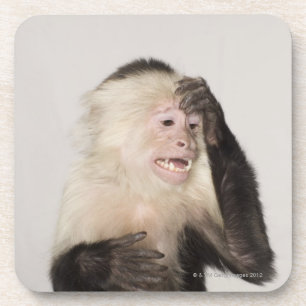 Dessous-de-verre Singe se rayant