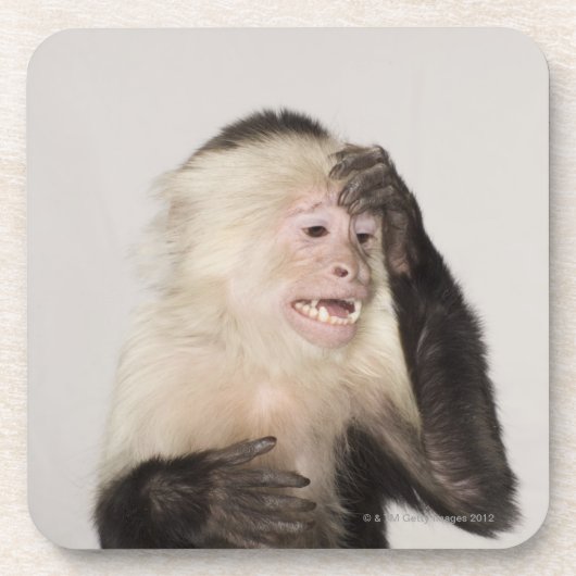 Dessous-de-verre Singe se rayant (Devant)