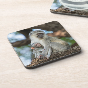 Dessous-de-verre Singe Vervet Prévenant – Inspiré de la Nature